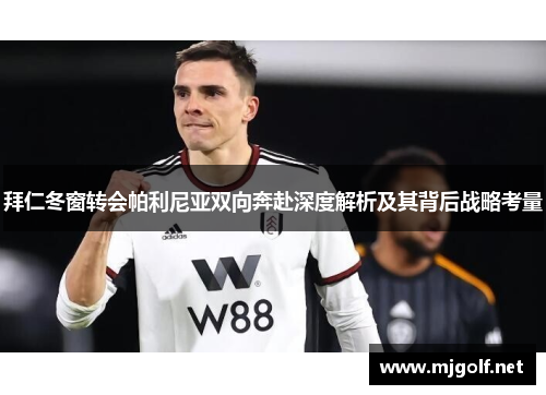 拜仁冬窗转会帕利尼亚双向奔赴深度解析及其背后战略考量